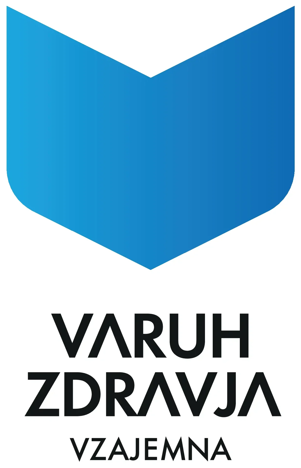 VZ sponsor logo